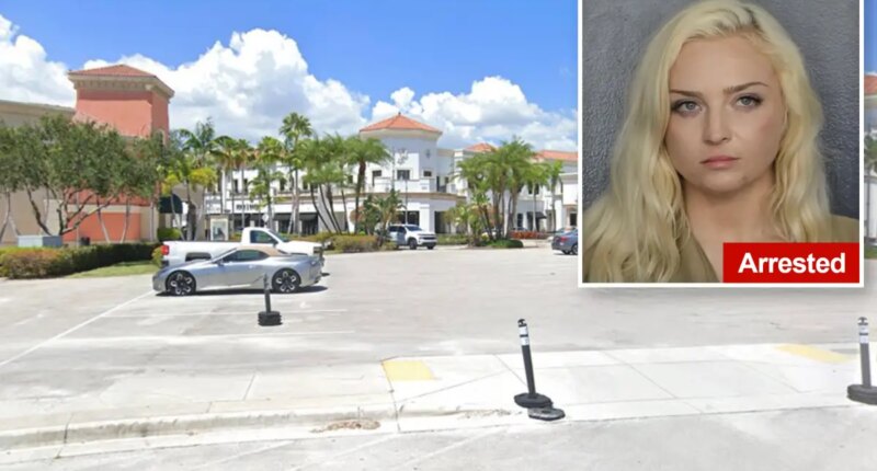 Florida seductress accused of drugging men she meets out, stealing their watches including nearly $100K Rolex