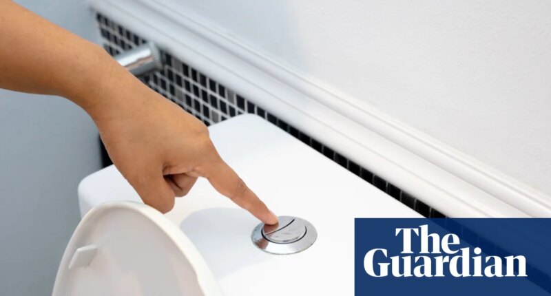 Flushing the toilet can release a ‘plume’ of breathable pathogens – and closing the lid won’t stop their escape