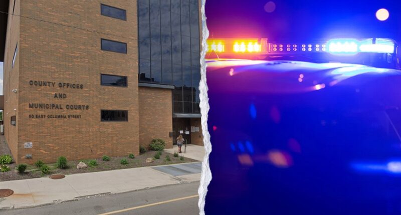 Former Ohio teacher charged after missing teen found at his home 263 days later: reports