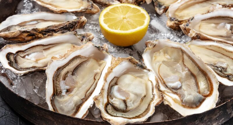 Fourth Florida resident dies after contracting flesh-eating bacteria linked to oysters