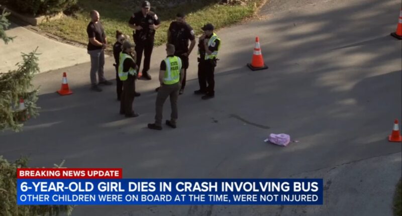Frankfort, IL news today: Frankfort School District student Jenna Menias, 6, killed in school bus crash on Aberdeen near Harlem