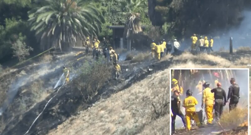 Fresno planes crash leaves several dead and injured