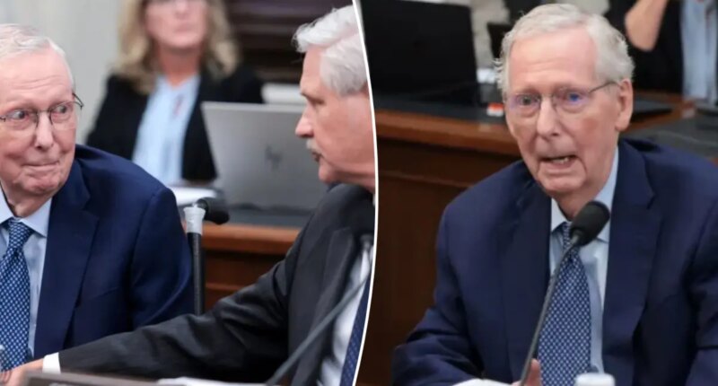 GOP senator tries to tell soft-spoken Mitch McConnell how to vote during farm bill markup