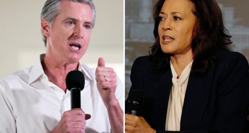 Gavin Newsom leads Kamala Harris in new 2028 presidential poll