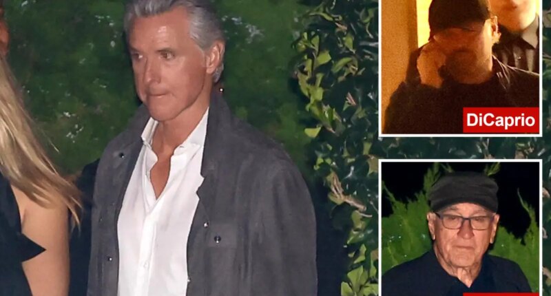 Gavin Newsom spotted hobnobbing with A-list celebs at Malibu hot spot