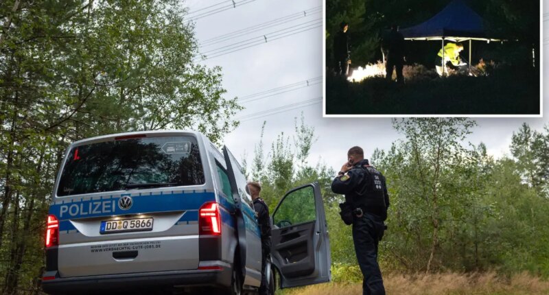 German police find 21 explosives after electricity attack