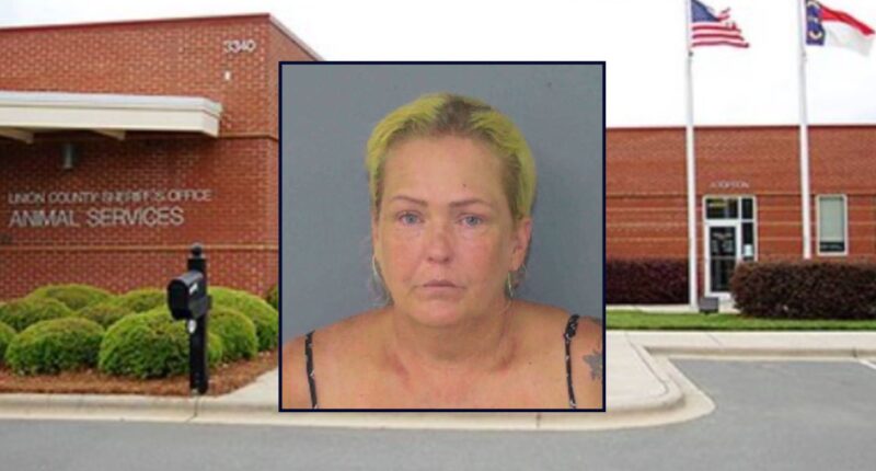 Dedra McManus appears inset against a county building in North Carolina.