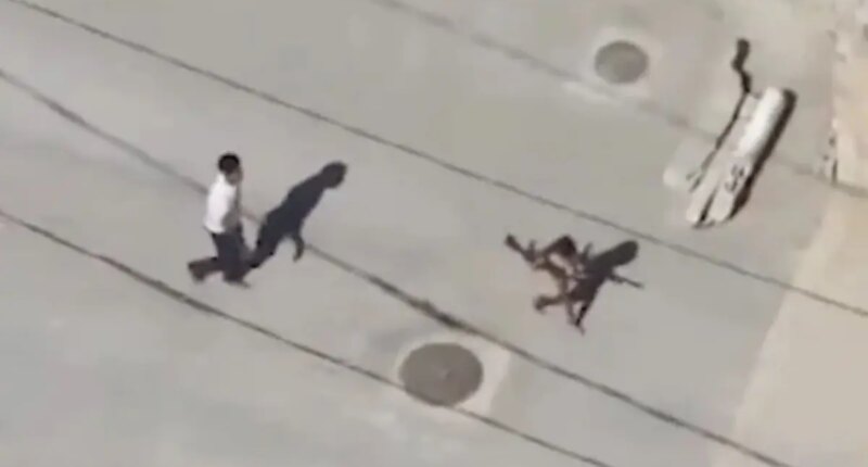 Hamas uses child as human shield to carry weapons in Gaza