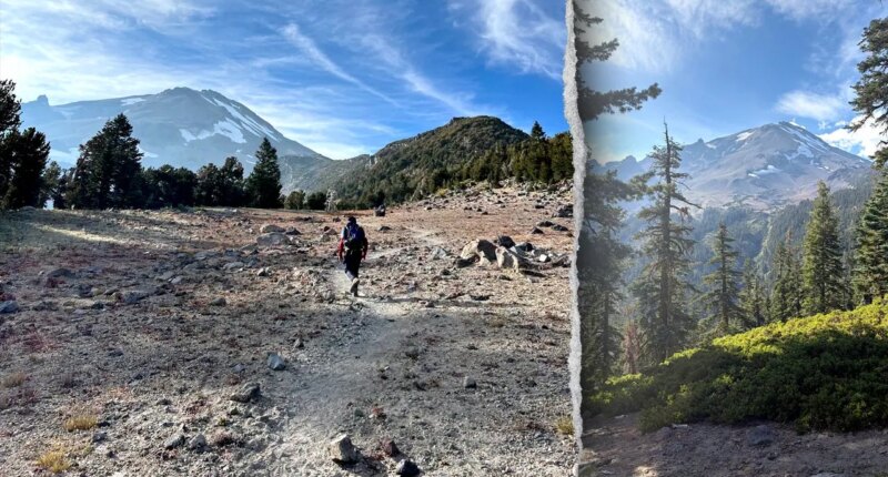 Hikers stranded on Mount Shasta after relying on AI to plan trip, sheriff says
