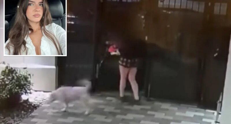 Homeless man chases California college student into her off-campus home