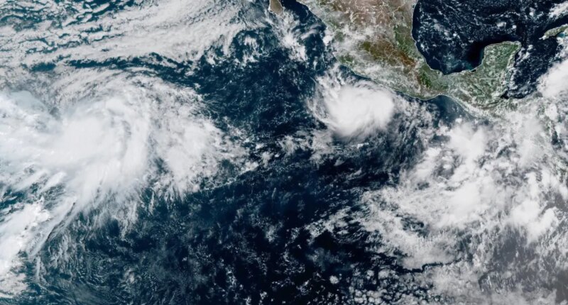 Hurricane Polo grows into a Category 4 storm in the Pacific off Mexico