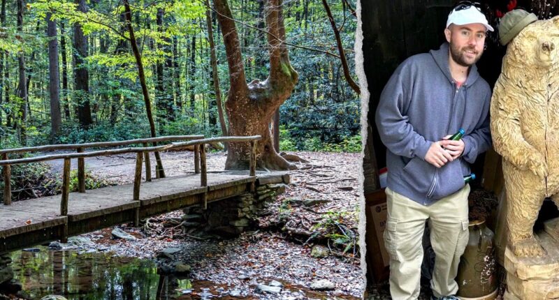 Illinois man missing more than a week as crews scour Great Smoky Mountains National Park