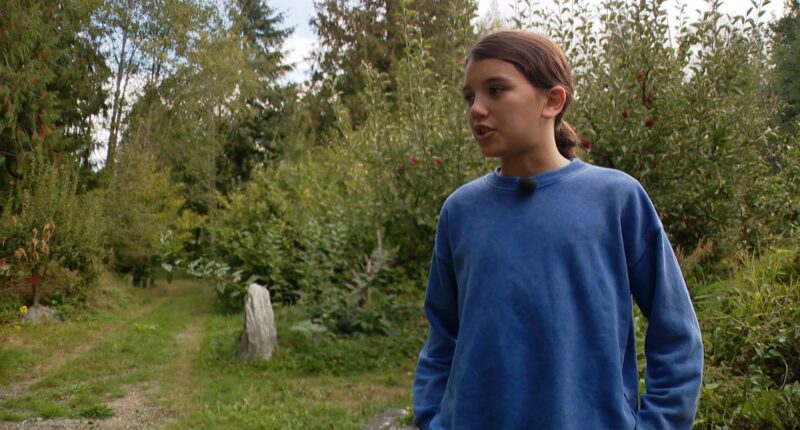 'It was fight or die': Washington boy fights off black bear in his own backyard