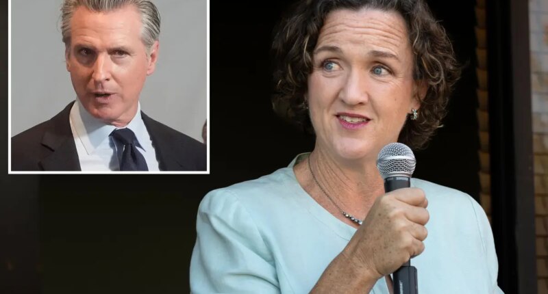 Katie Porter returns to politics with Gavin Newsom appointment