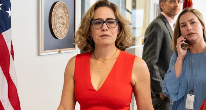 Kyrsten Sinema's bodyguard lover reveals why he trashed her $2M home
