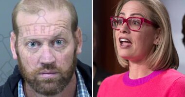 Kyrsten Sinema's ex-bodyguard explains why he was at her home before arrest
