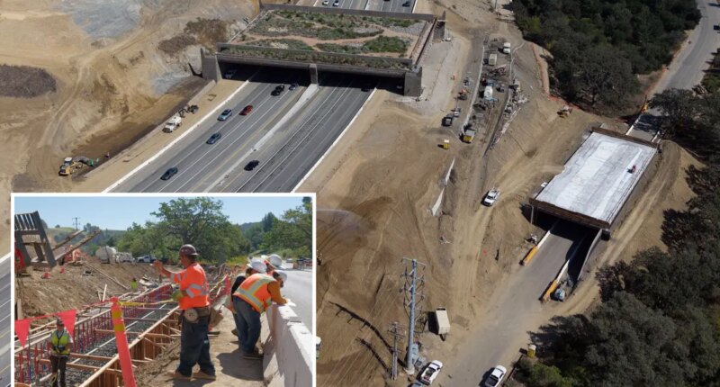 LA’s Annenberg Wildlife Crossing looks unready for December opening