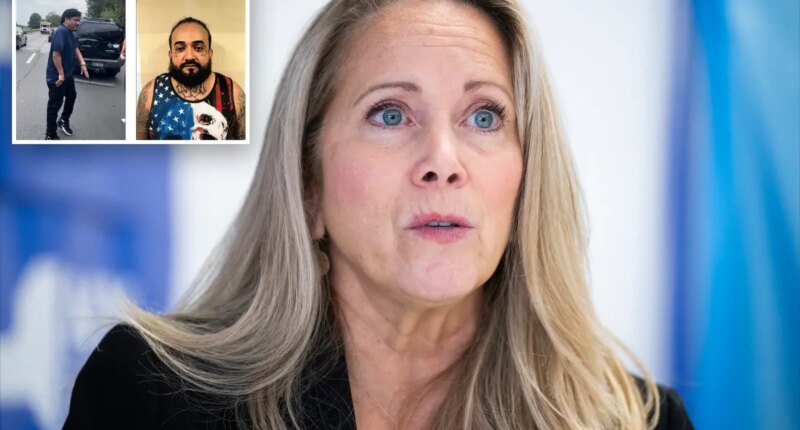 Laura Gillen pushes making staged NY car crashes for insurance fraud a federal crime
