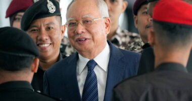 Malaysia's king allows former leader Najib to serve rest of his graft sentence under house arrest