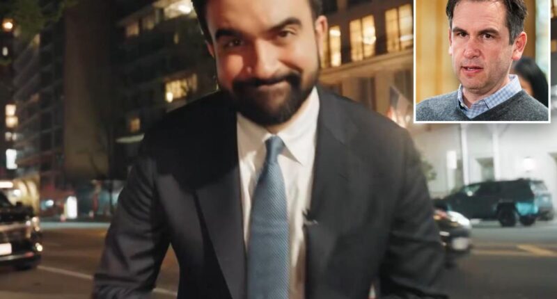 Mamdani’s 'influencer army' plot secret attacks on NYC CEOs