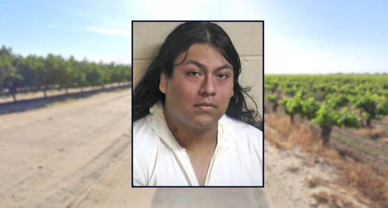 Man allegedly killed brother with 'Rambo-style knife'