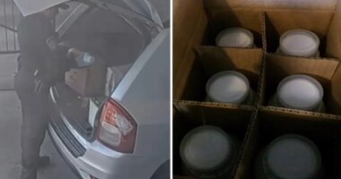 Man faces charges for allegedly smuggling cancer-risk pesticides into US