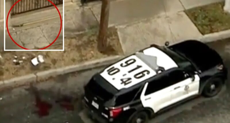 Man shot dead by LAPD in Boyle Heights after charging officers with tree trimmer