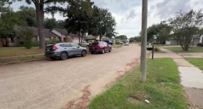 Arman Alexander Malik