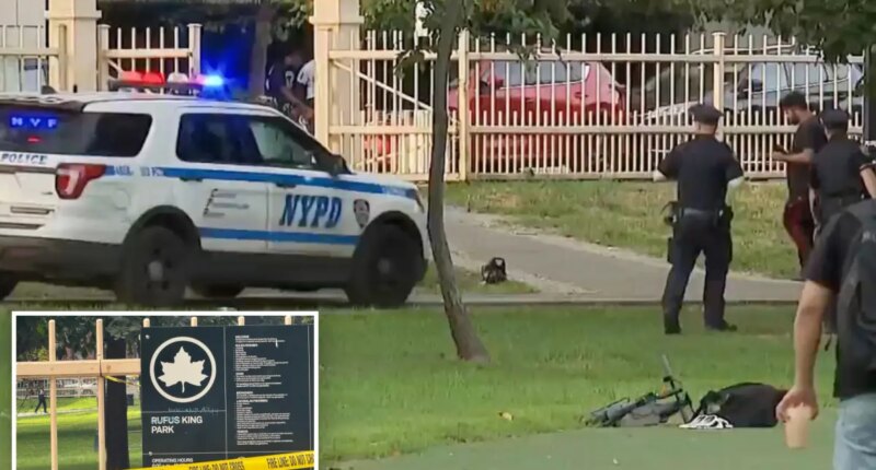 Maniac beats man to death with two-by-four in Queens park: sources