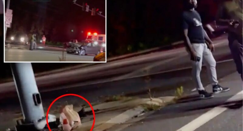 Maryland DoorDash customer picks up order from driver at crash scene: 'I think that's my food'