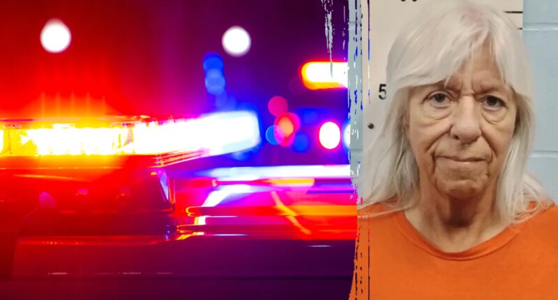 Missouri foster mom accused of trading teen for monkey avoids prison