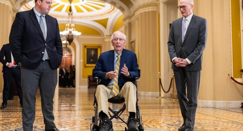 Mitch McConnell returns to Capitol Hill after monthslong absence