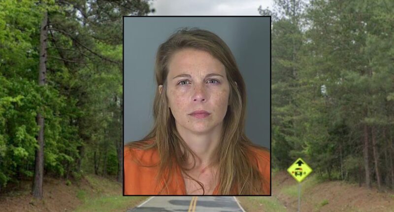 Inset: Taylor M. Gosnell (Spartanburg County Sheriff's Office). Background: The area in S.C. where Gosnell allegedly tried to kill her children (Google Maps).