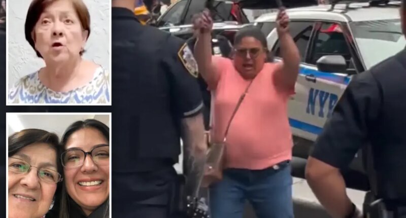 Mom of mentally ill Times Square killer questions why cops couldn’t grab her as she lunged at them with knives