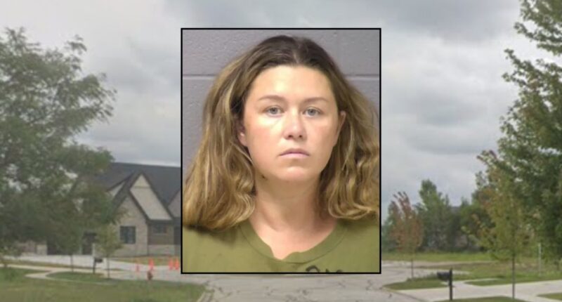 Inset: Corie A. Walsh (Will County Sheriff's Office). Background: The area in Illinois where Walsh allegedly killed her son (Google Maps).