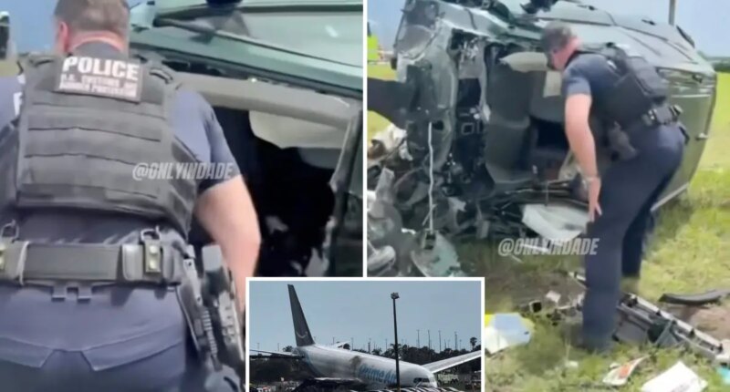 Moment cops find survivor from Amazon plane crash: 'We've got one breathing!'