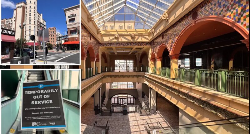Monstrous NY shopping mall that aimed to spark troubled downtown devolves into bane of Dem-run city