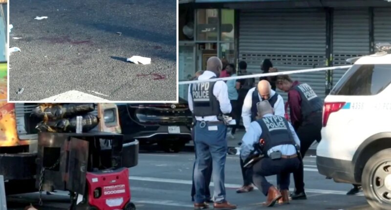 Multiple people stabbed in Crown Heights as notoriously violent West Indian American Day parade kicks off