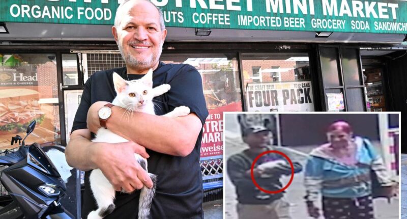 NYC 'animal lover' accused of stealing beloved bodega cat furiously claims she was unfairly arrested