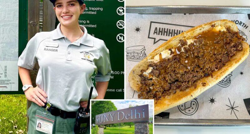 NYC student sues college after swallowing metal in dining hall sandwich