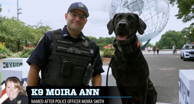 NYPD names K-9s after fallen 9/11 heroes