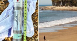 Navy military device washed up on California beach and taken to home