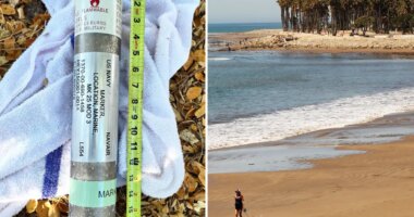 Navy military device washed up on California beach and taken to home
