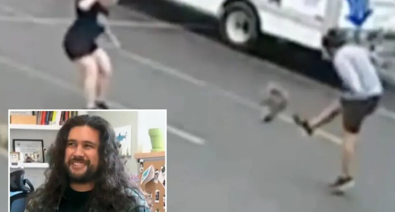 New Hampshire man recounts terrifying encounter with mysterious animal terrorizing locals