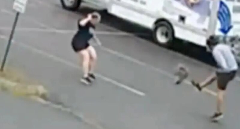New Hampshire neighborhood terrorized by aggressive wild animal after three attacks, police on lookout
