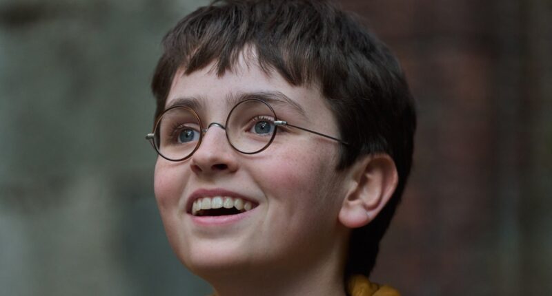 New Harry Potter HBO Series Trailer Brings The Wizarding World Back To Life