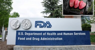 New Jersey company recalls nearly 333 pounds of tuna over high histamine levels