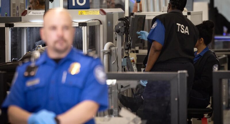 New TSA program will allow some people to go through security without a ticket