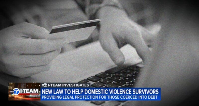 New bipartisan Illinois law will help domestic violence survivors with financial hardships, coercive control, abuse