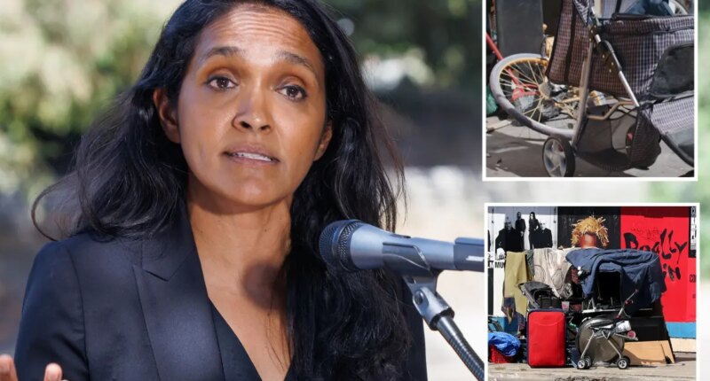 Nithya Raman’s homelessness record targeted in new LAPD union ad